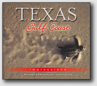 Texas Gulf Coast Impressions